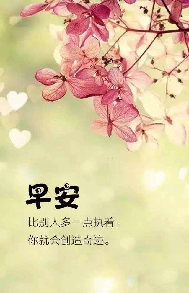 每日精选朋友圈暖心美语