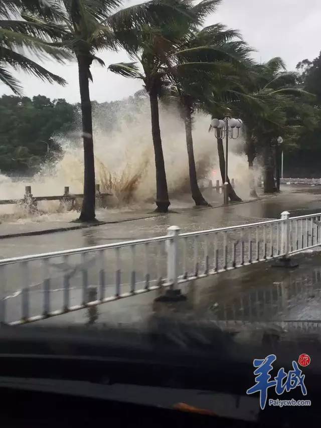 两颗蛋蛋′晃呀晃