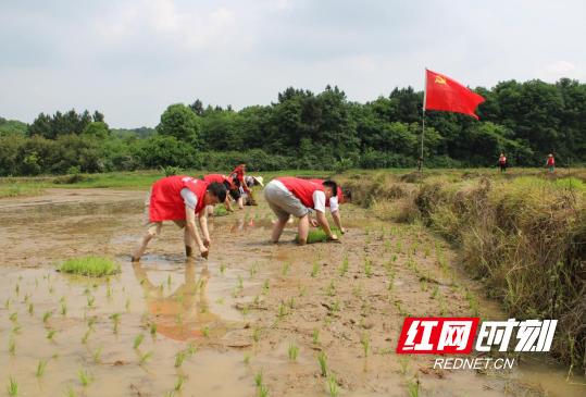 法治/舆情 第22页