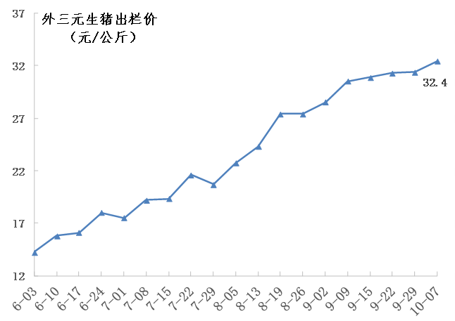 今日猪肉行情速览