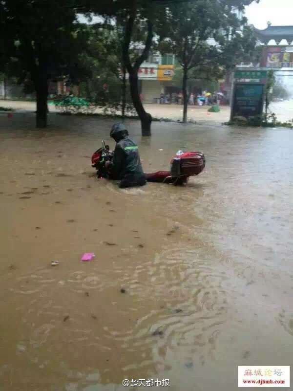 蕲春暴雨实时动态