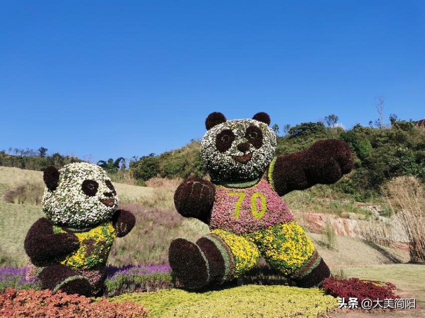 龙泉山观景台最新资讯