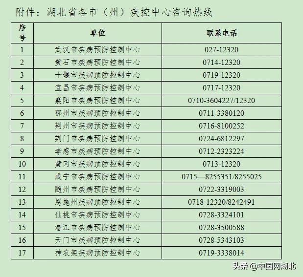 全球新增病例动态报告，健康守护，共筑美好未来