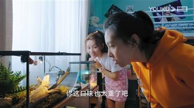 孙俪最新力作，精彩剧集盘点，温暖期待满满！