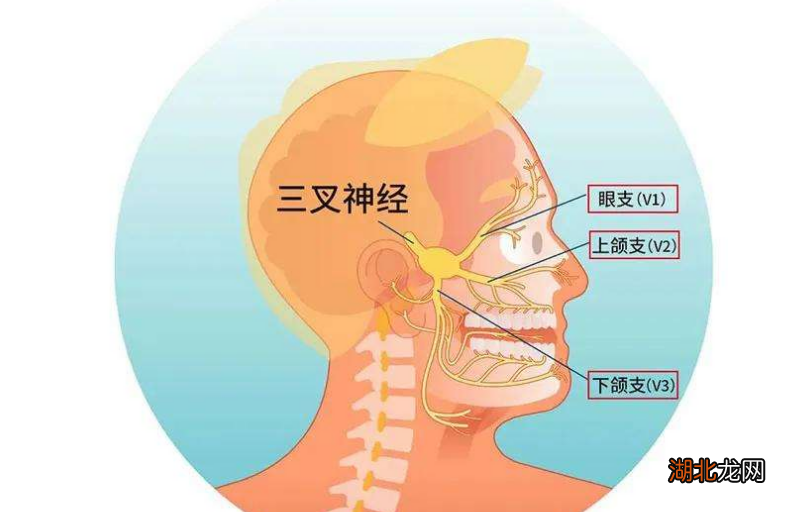 解锁三叉神经痛康复新篇章：喜看疗效绽放希望之光