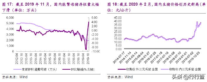 “近期蛋氨酸市场价格动态”