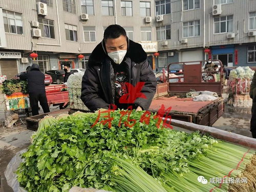 咸阳新阳光蔬菜——全新款式速览，实时价格同步更新