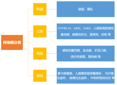 深度解析：当前流行传染病分类详解与品种概览